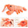 Interactive Jumping Shrimp Cat Toy - Fun & Engaging for Cats