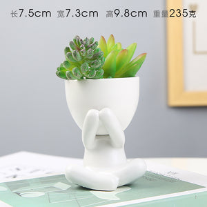 Nordic Succulent Ceramic Flowerpot - Office Decoration