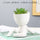 Nordic Succulent Ceramic Flowerpot - Office Decoration