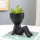 Nordic Succulent Ceramic Flowerpot - Office Decoration