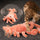Interactive Jumping Shrimp Cat Toy - Fun & Engaging for Cats